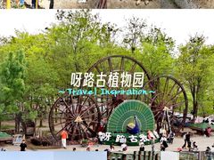 -呀路古热带植物园