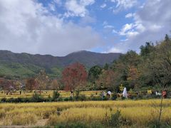 -塔川景区