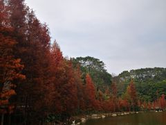 -广州市帽峰山景区