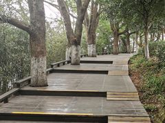 -天目湖山水园