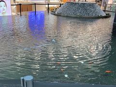 -新世界大丸百货