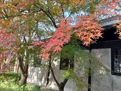 -上海市龙华烈士陵园