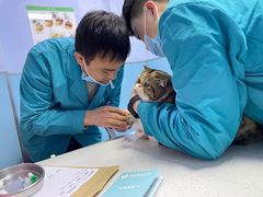-甄爱宠物医院(疏影路店)