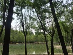 -廊坊市自然公园