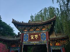 -西安曲江寒窑遗址公园