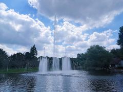 -上海共青森林公园