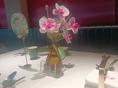 -大鸭梨烤鸭(望京店)