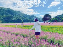 景点-广州市石门国家森林公园