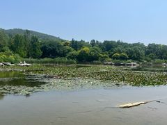 -国家植物园南园