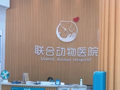 -联合动物医院(光谷诊疗中心)