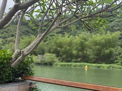 -碧水湾温泉