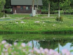 -洋湖国家湿地公园
