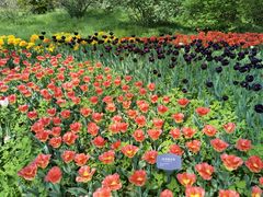 -国家植物园南园