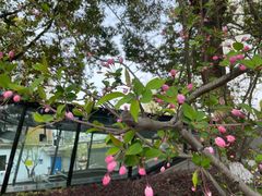 -闸弄口(地铁站)