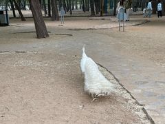 -秦皇岛野生动物园