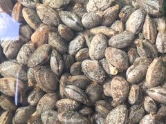 -浪琴湾尾角仔海鲜坊