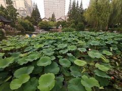 -郑和公园