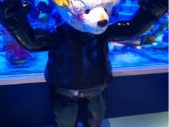 -成都泰迪熊博物馆