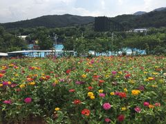 景点-盈香心动乐园