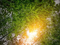 -狼山风景名胜区