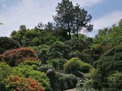 -西湖外事游船(花港观鱼码头)