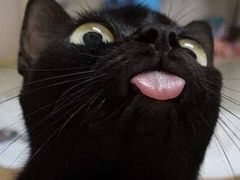 -manabe (共和新路店)