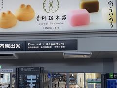 -中部国际机场