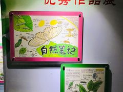 -上海昆虫博物馆