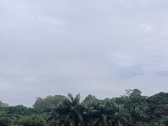 -深圳野生动物园