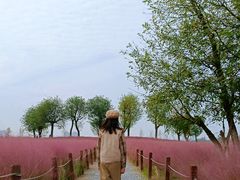 -汉长安城未央宫国家考古遗址公园