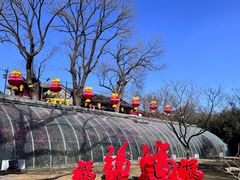 -红螺寺