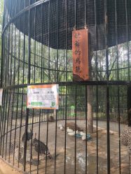 -优沃得自然教育农场·冰雪乐园·生日会·研学