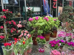 -平吉花卉市场
