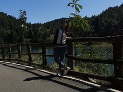 -武陵山森林公园