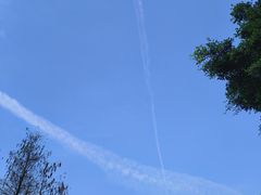 -海珠湖公园