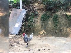 -水濂山森林公园