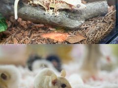 -昆明滇池国际会展中心