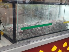 门面-黑孩油栗皇(南阳路店)