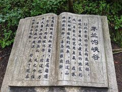 -茅兰沟国家森林公园
