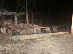 -清迈夜间动物园