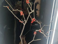 -霸王茶姬(北京路汇嘉店)