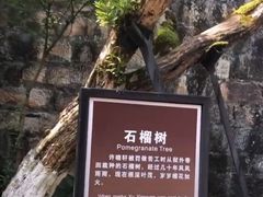 -白公馆