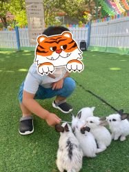 -萌宠亲子动物乐园(槐房万达店)