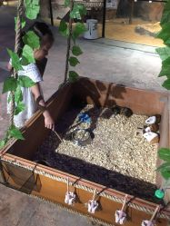 -酷嗒动物文化乐园(cutezoo西溪乐天城店)