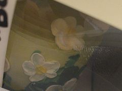 -BONCAKE裱花蛋糕(万象汇店)