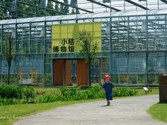 -前小桔亲子创意农场·草莓采摘·露营烧烤