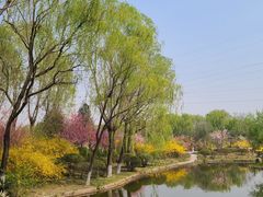 -石家庄市植物园
