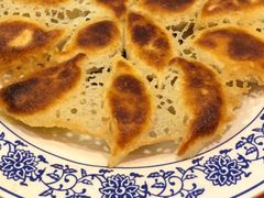 -石老头关东饺子王·东北菜(嘉华鑫城店)