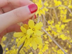 -长春公园(普阳街道)