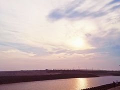 -南汇嘴观海公园